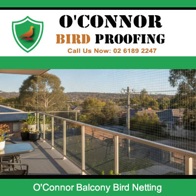 Bird netting installed on residential balcony railing in O'Connor