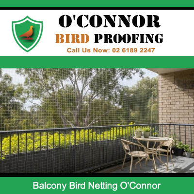Professional balcony bird netting installation in O'Connor
