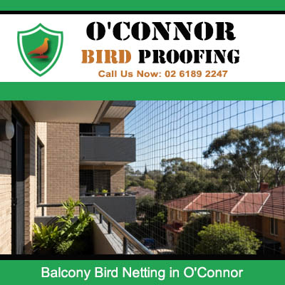 Clear bird netting installed on apartment balcony in O'Connor