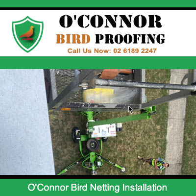 Aerial view of bird netting installation equipment on residential roof in O'Connor