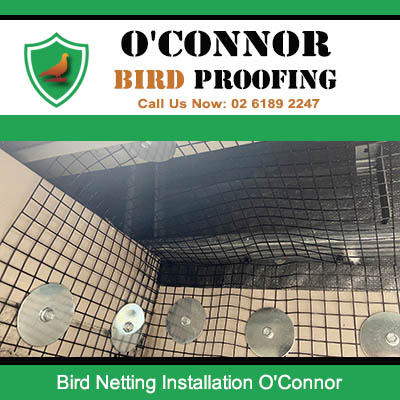 Bird netting installed on tiled commercial building exterior in O'Connor