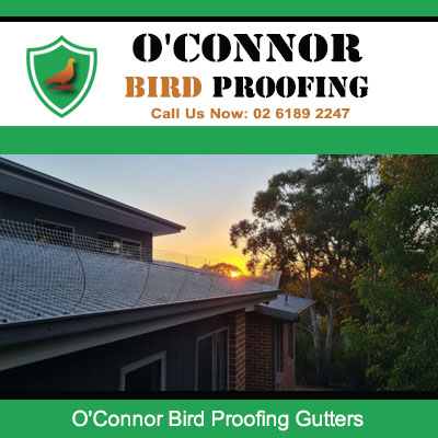 Bird proofing mesh installed on residential roof gutters at sunset in O'Connor