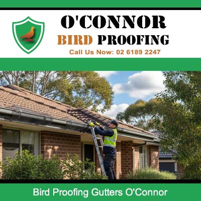 Technician installing bird proofing on residential roof gutters in O'Connor