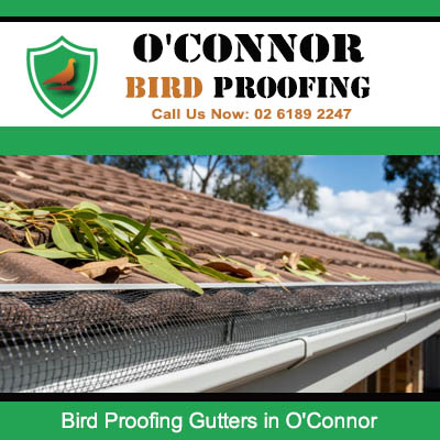 Bird proofing mesh installed along roof gutter in O'Connor