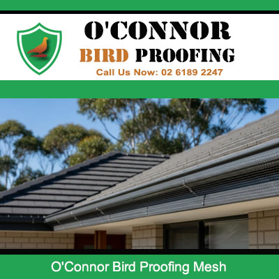 Bird proofing mesh installed along residential roof gutter in O'Connor
