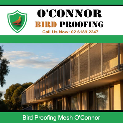 Bird proofing mesh installed on commercial building balconies in O'Connor