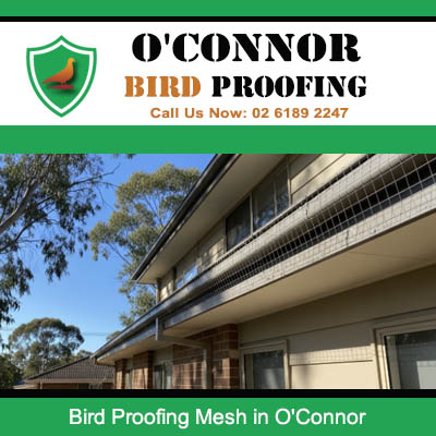 Professional bird proofing mesh on multi-story residential building in O'Connor