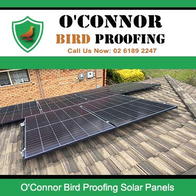 O'Connor Bird Proofing solar panel installation on residential roof in O'Connor
