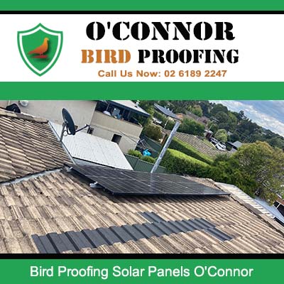 Bird proofing installation for solar panels in O'Connor